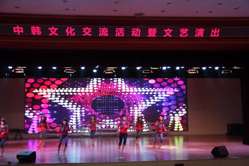 童心相連 藝韻相融——中韓文化交流活動暨文藝演出在市實驗小學(xué)成功舉辦